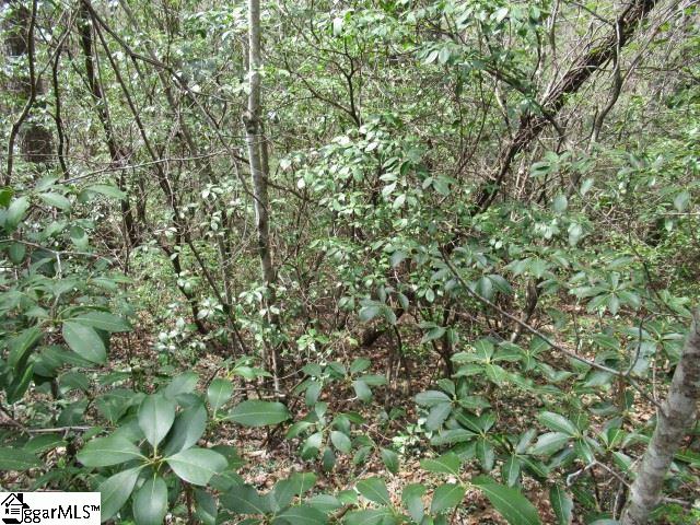 315 Falcon Crest Way Pickens, SC 29671 - Photo 12 of 17