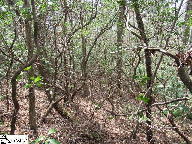 315 Falcon Crest Way Pickens, SC 29671 - Photo 13 of 17