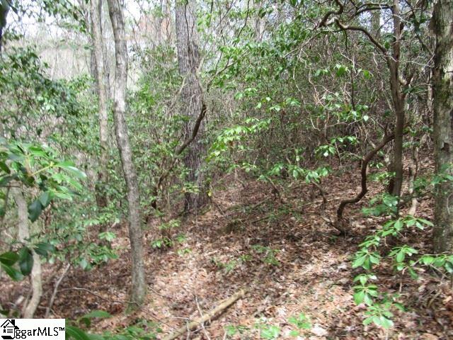 315 Falcon Crest Way Pickens, SC 29671 - Photo 14 of 17