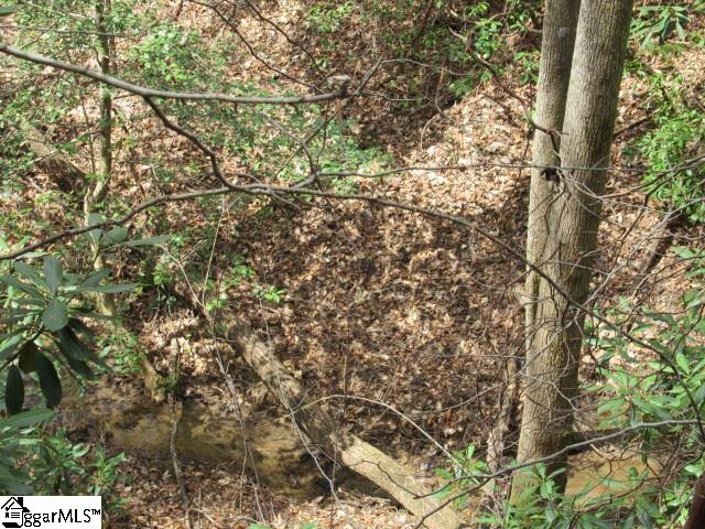 315 Falcon Crest Way Pickens, SC 29671 - Photo 15 of 17