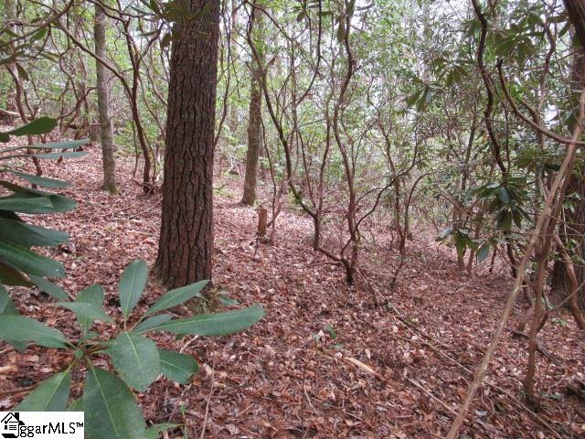 315 Falcon Crest Way Pickens, SC 29671 - Photo 8 of 17