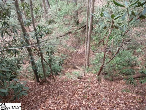 $7,500 | 315 Falcon Crest Way, Pickens, SC 29671