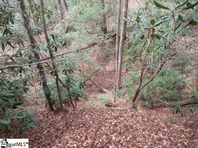 315 Falcon Crest Way Pickens, SC 29671 - Photo 9 of 17