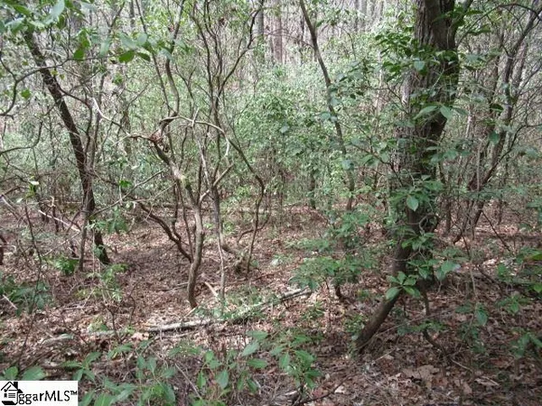 $7,500 | 315 Falcon Crest Way, Pickens, SC 29671