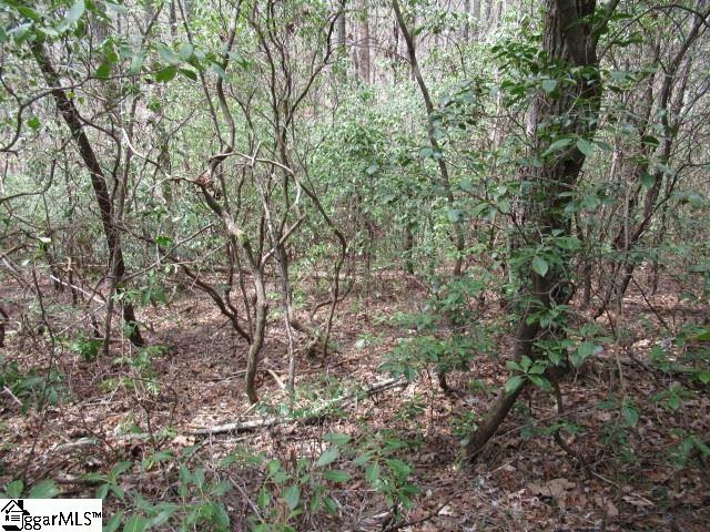 315 Falcon Crest Way Pickens, SC 29671 - Photo 10 of 17