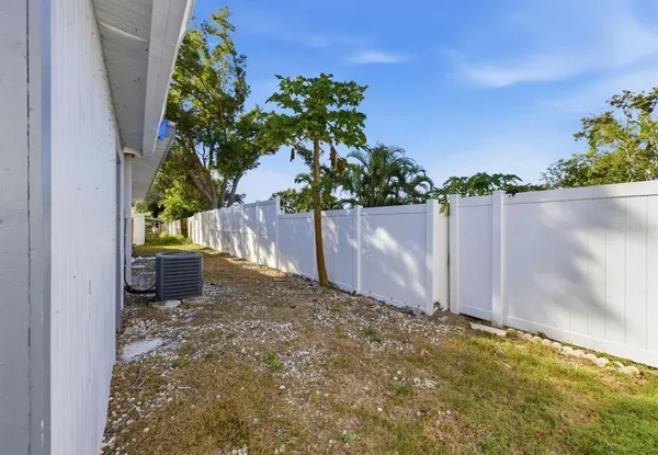 a view of a yard with a plant