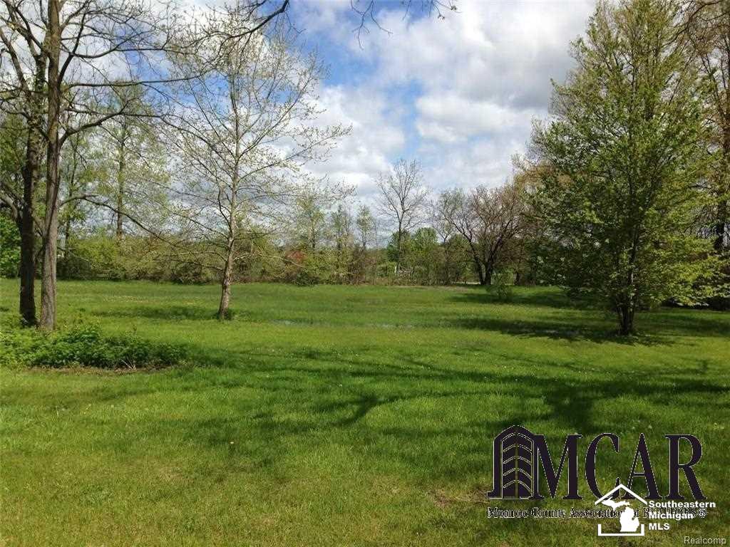 26854 Waltz Road New Boston, MI 48164 - Photo 4 of 5
