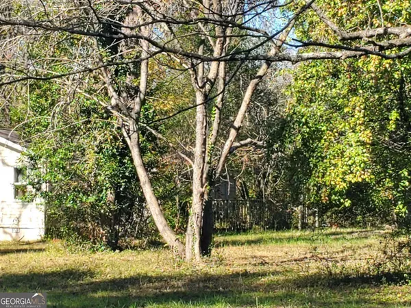 a view of a tree with a yard
