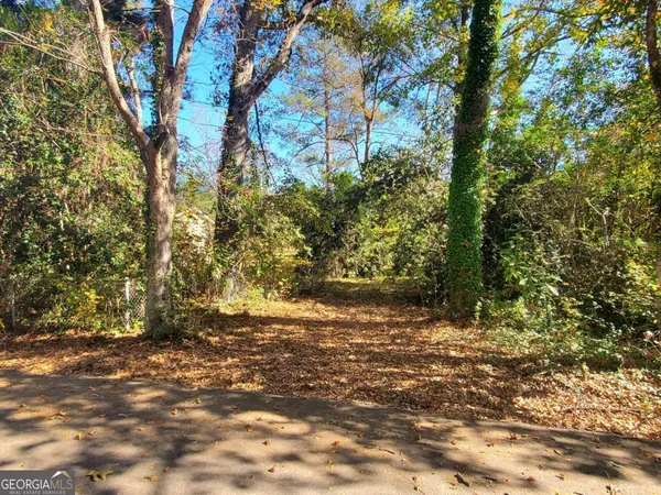 a view of a yard with plants and trees