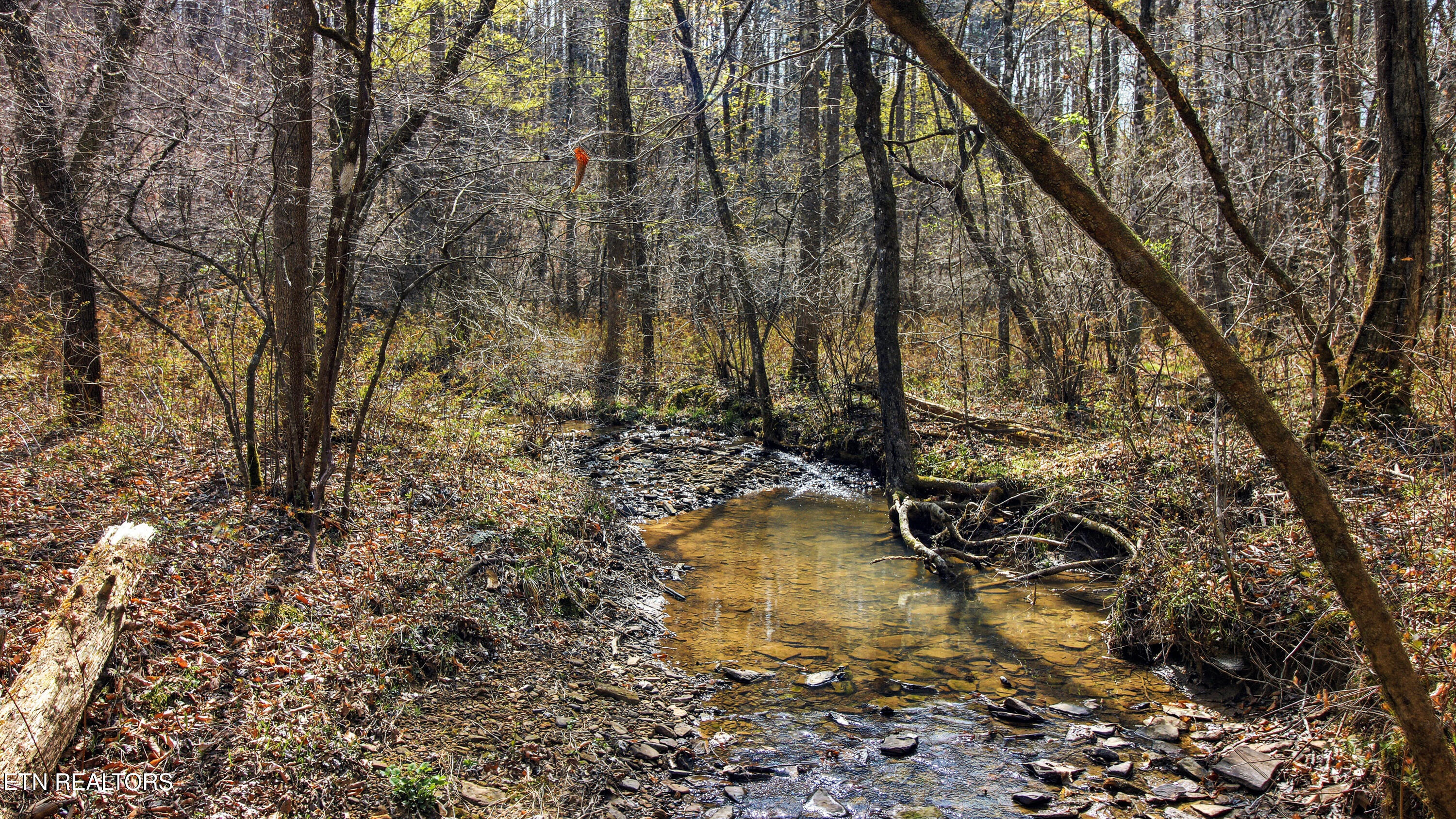 Young Road Robbins, TN 37852 - Photo 29 of 40 dan-28