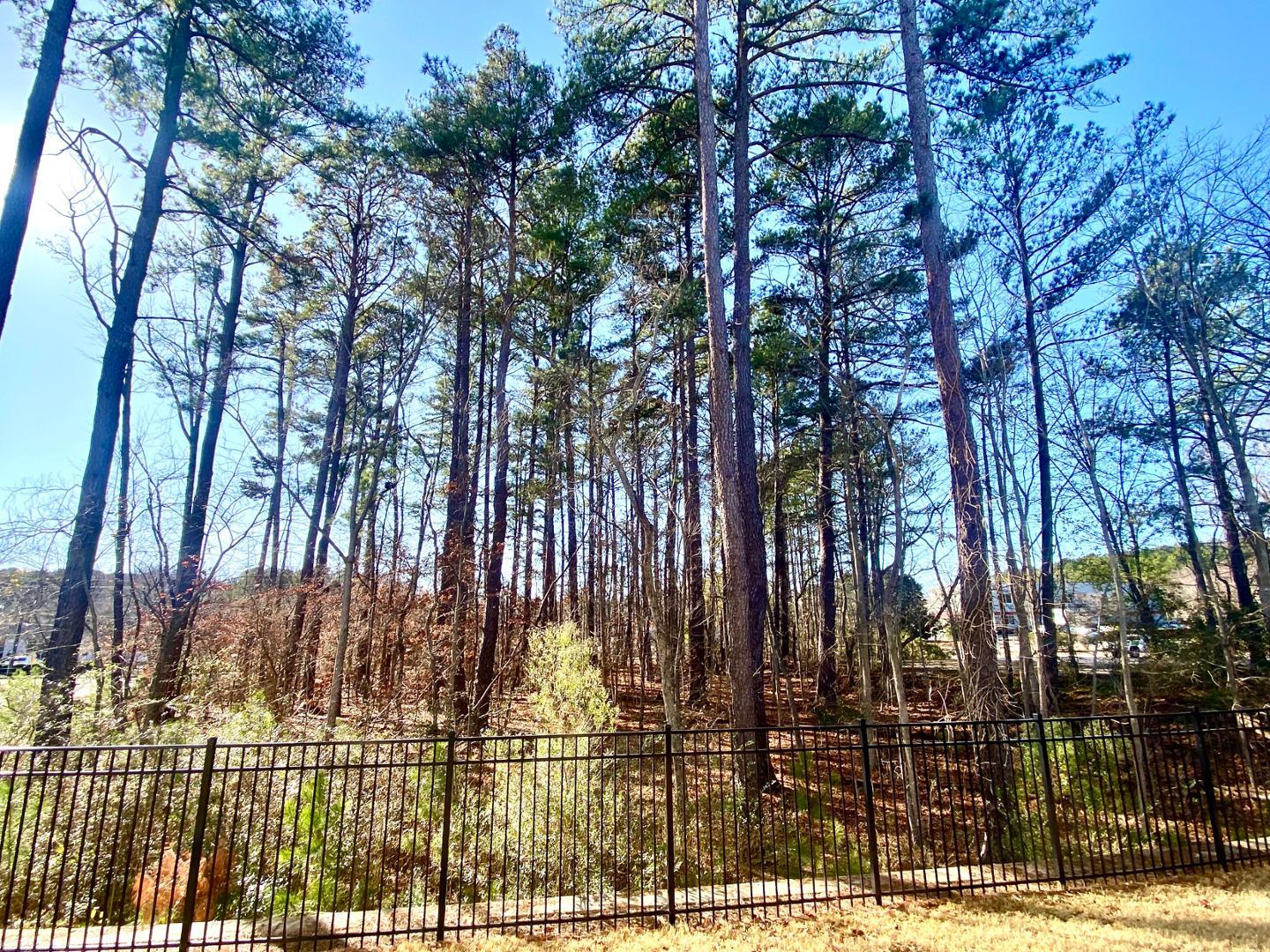 6005 Beale Loop Raleigh, NC 27616 - Photo 6 of 6 a view of a backyard