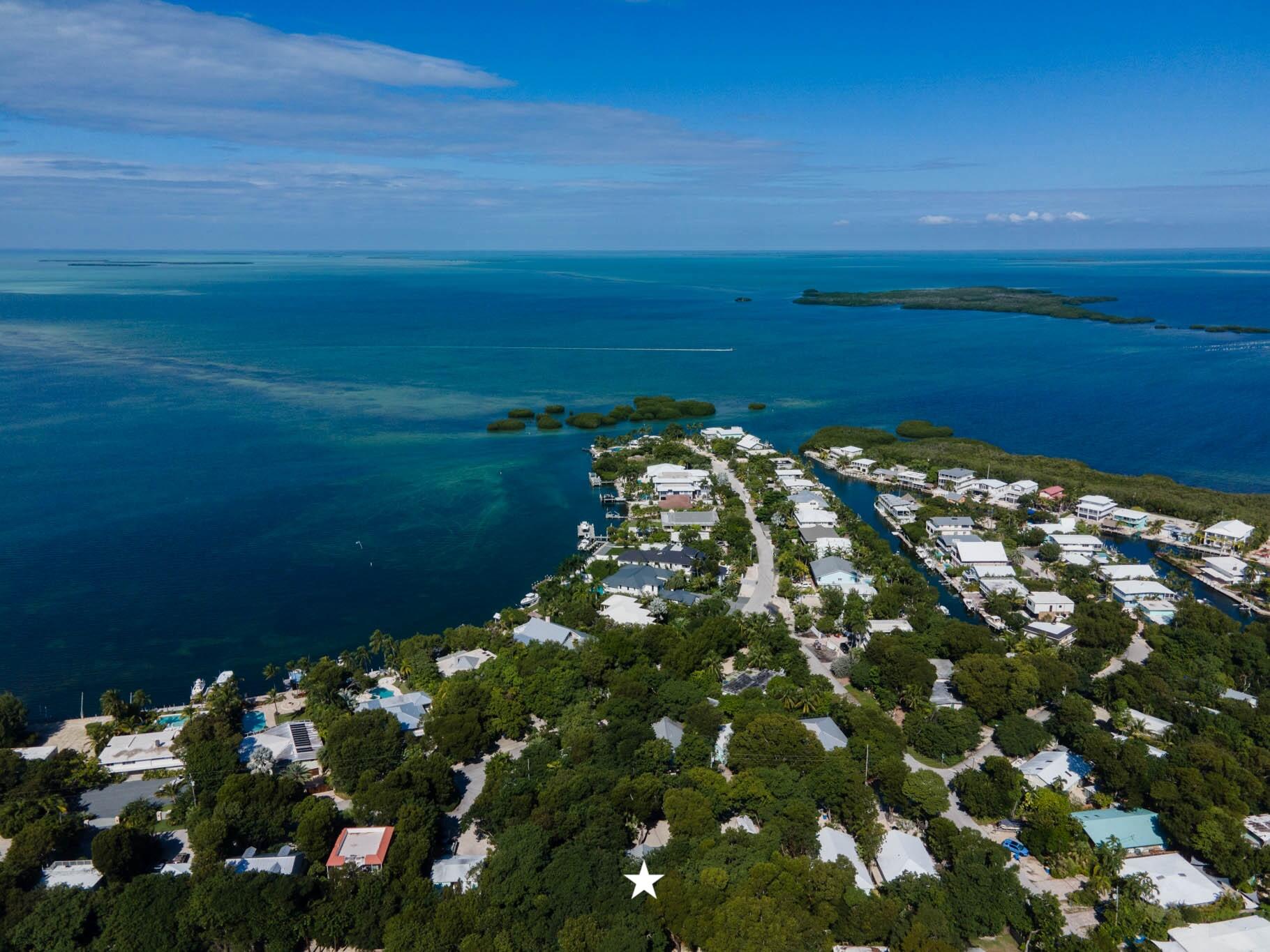 150 Apache Street Tavernier, FL 33070 - Photo 6 of 32 a view of a bunch of flowers