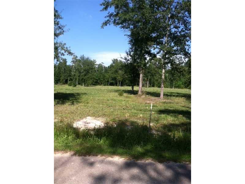 39200 Shingle Mill Road Ponchatoula, LA 70454 - Photo 2 of 3 Gallery Image 2