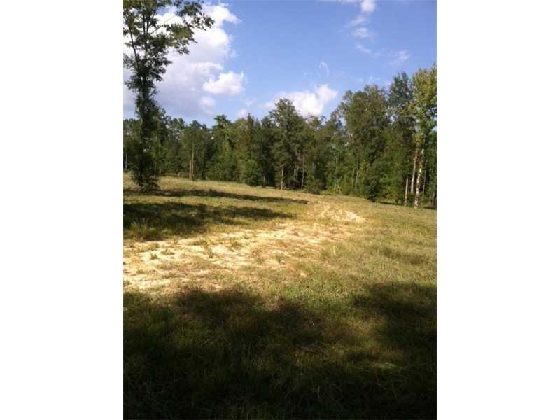 39200 Shingle Mill Road Ponchatoula, LA 70454 - Photo 3 of 3 Gallery Image 3
