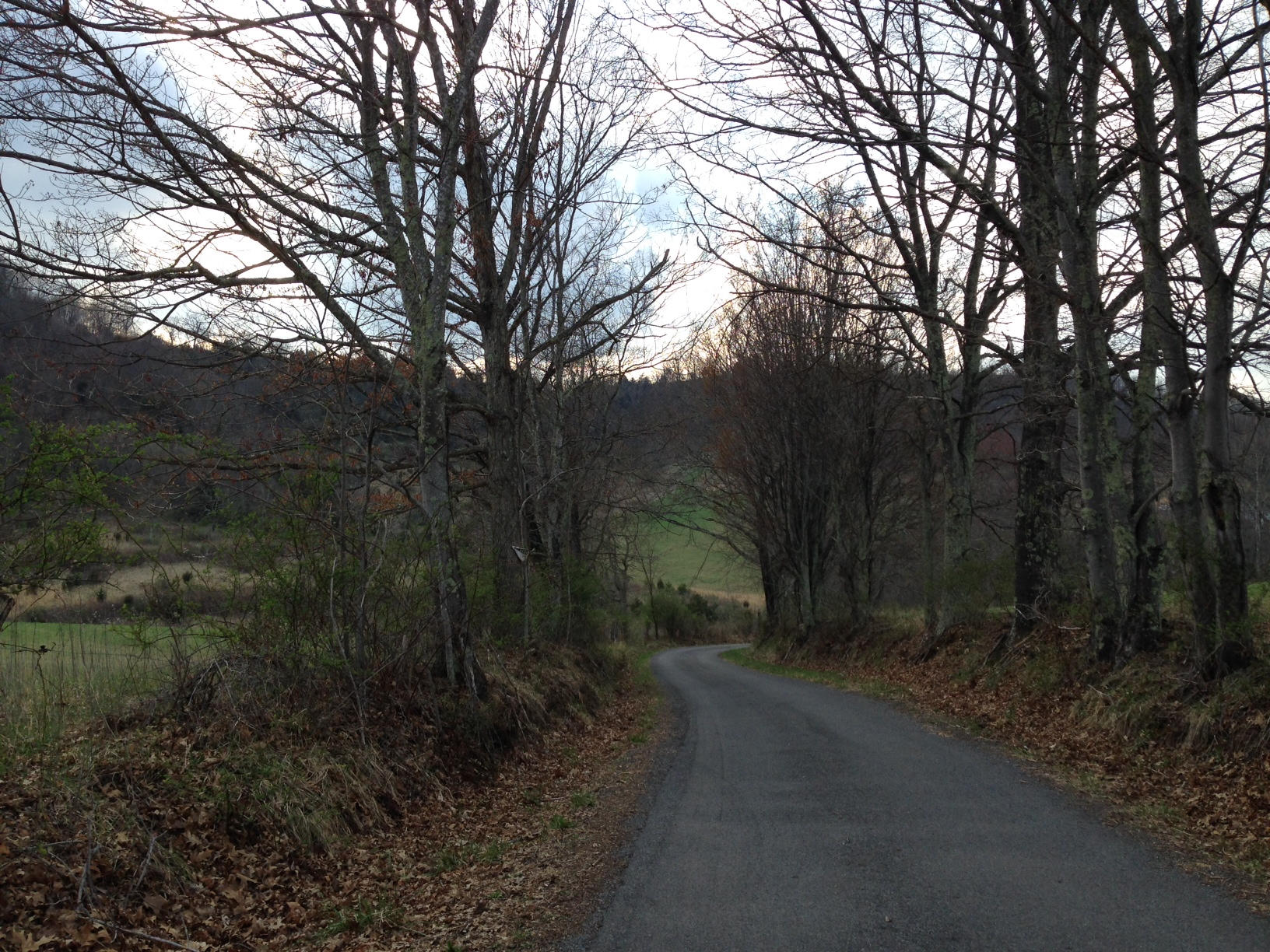 Dillon Road Forest Hill, WV 24935 - Photo 12 of 93 Gallery Image 12