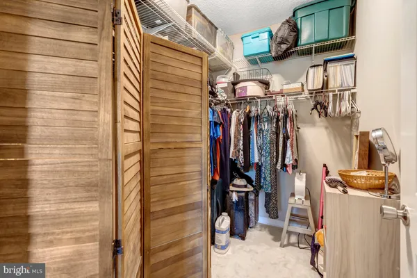 a view of a tree in a yard