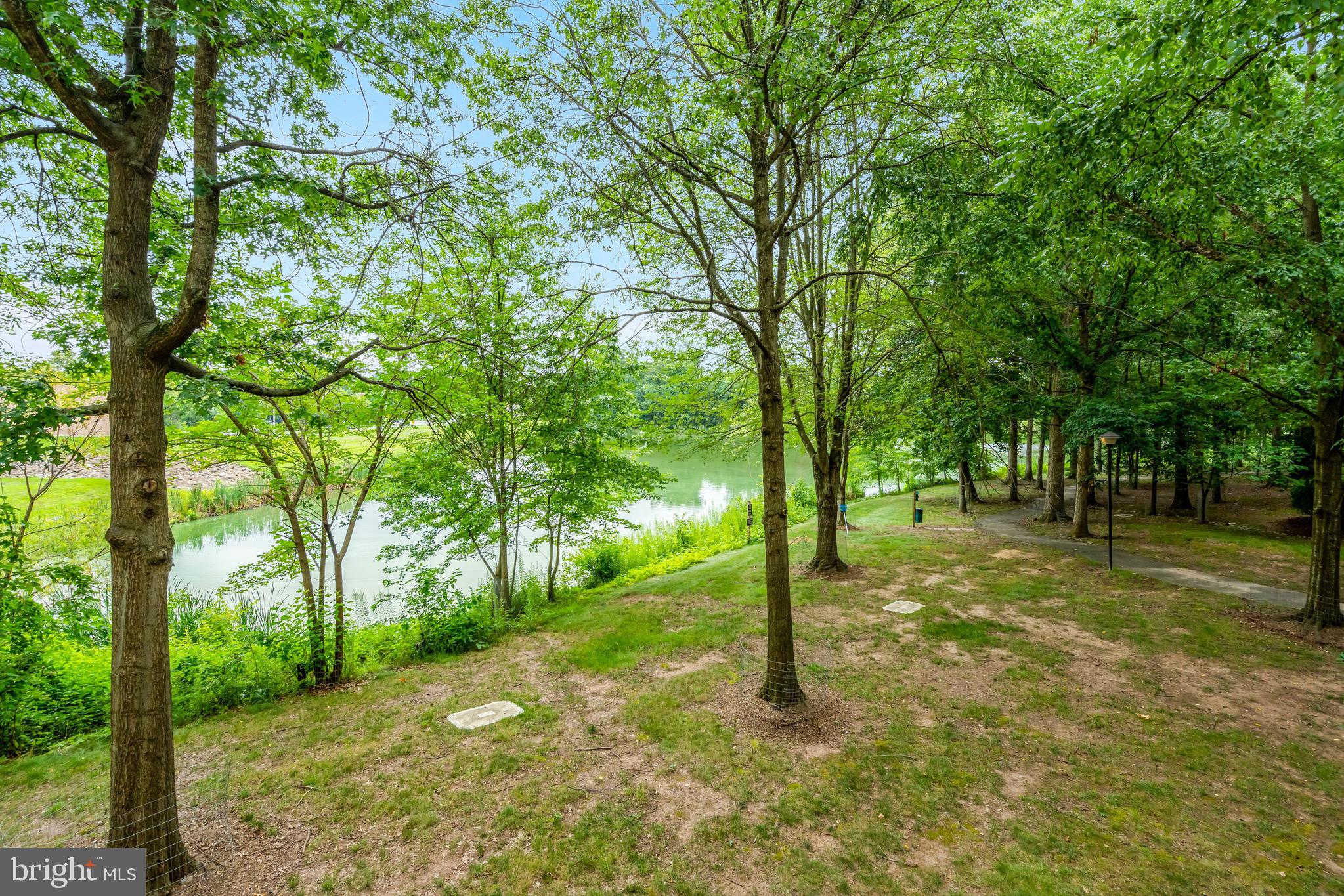 1712 Lake Shore Crest Drive, Unit 14 Reston, VA 20190 - Photo 18 of 24 a view of a tree in a yard