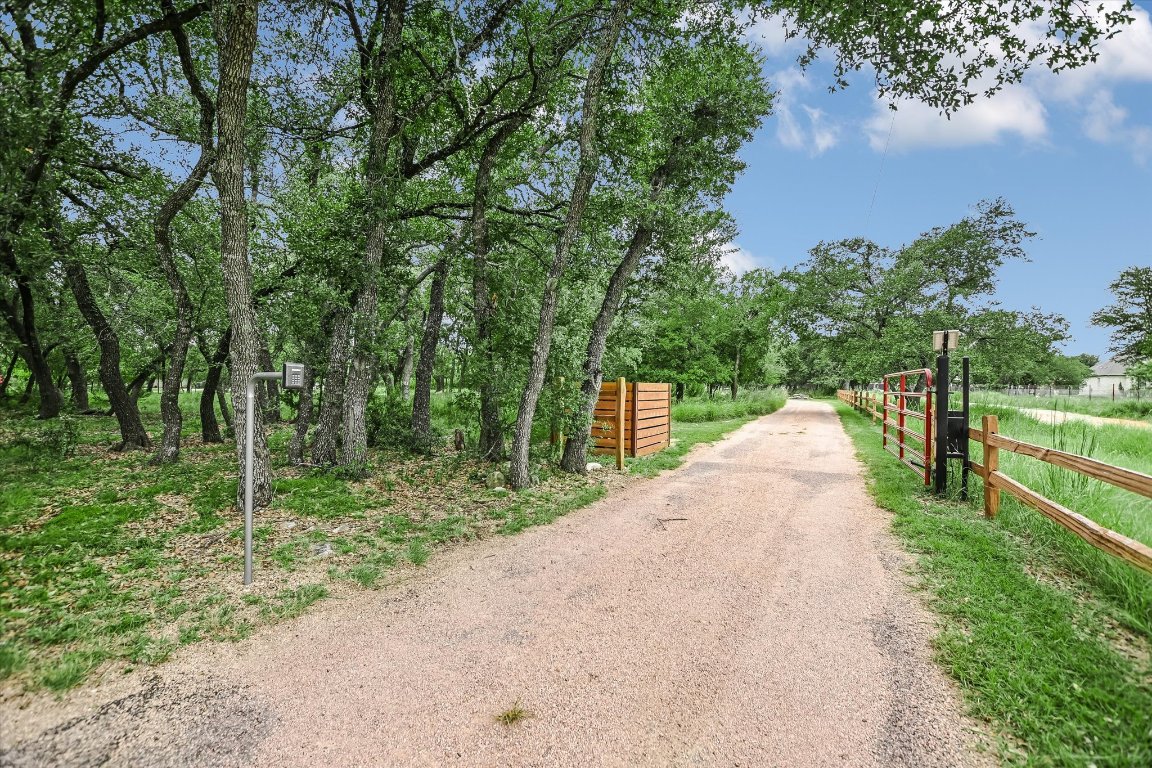 425 Patricia Road Georgetown, TX 78628 - Photo 3 of 30 a view of a street with large trees beside it
