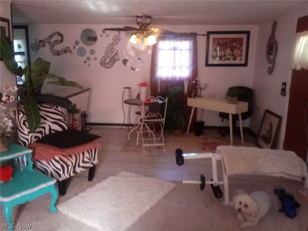 Gallery Image 7
