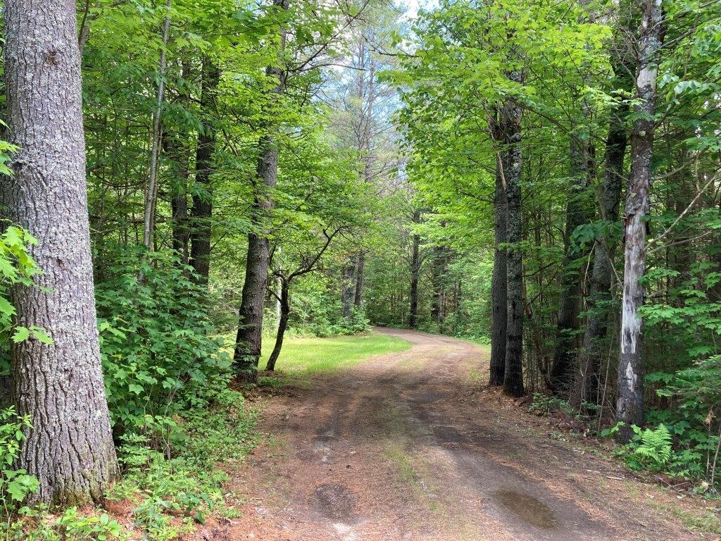 388 Millbrook Road Grafton, NH 03240 - Photo 39 of 40