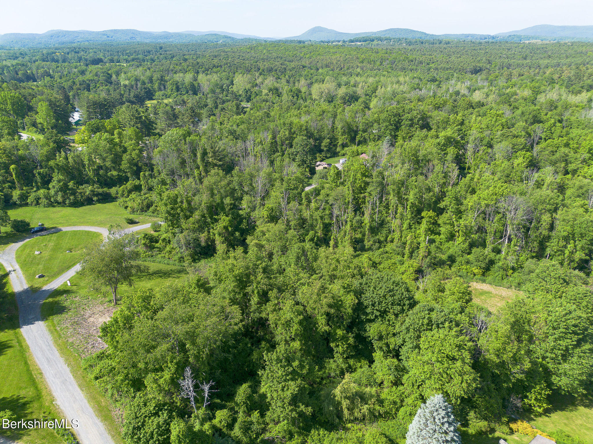 10 Miller View Road Egremont, MA 01230 - Photo 8 of 22 a view of a green field with lots of bushes