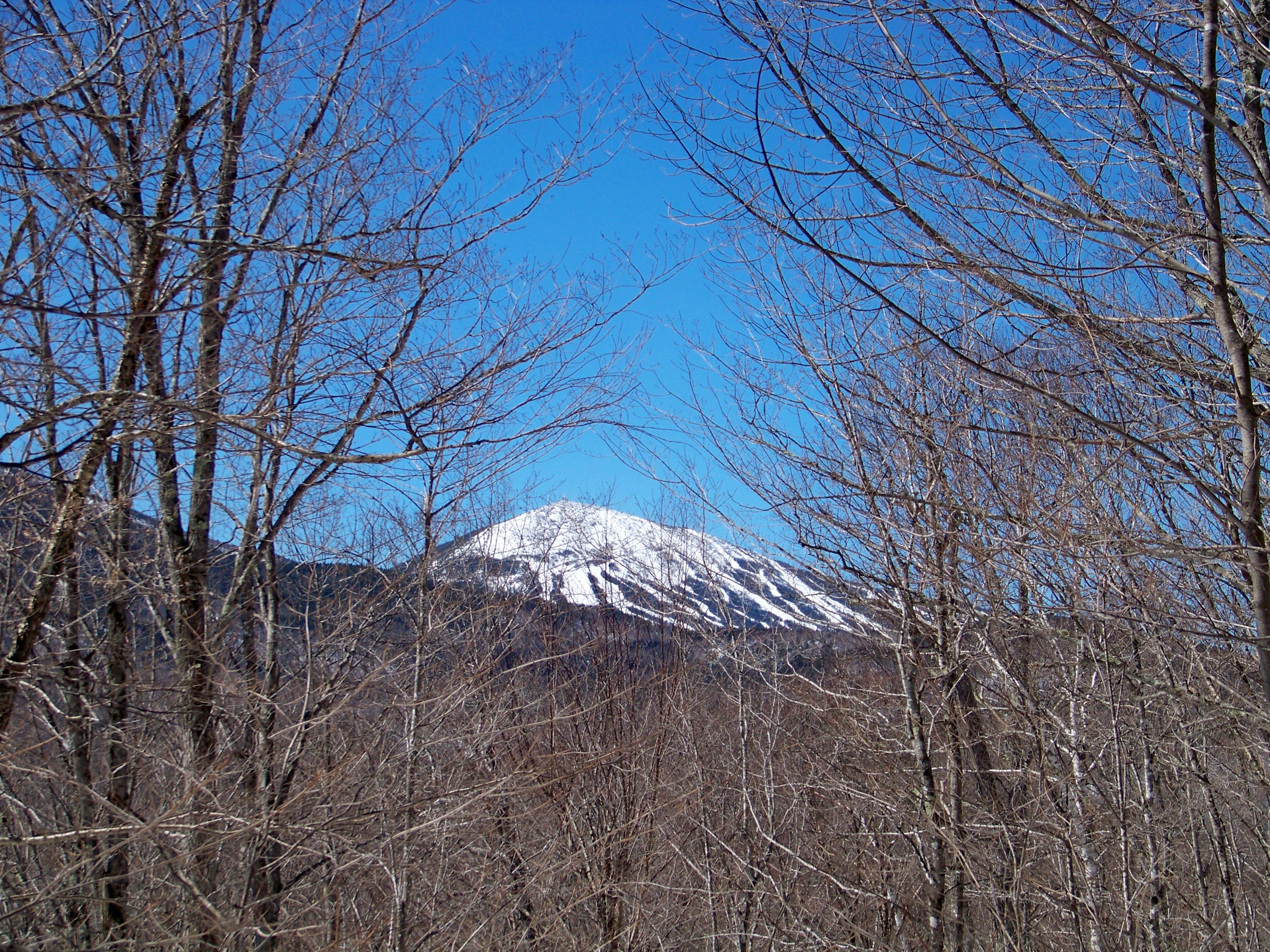 2009 Birch Trail Road Kingfield, ME 04947 - Photo 4 of 11 From the Deck