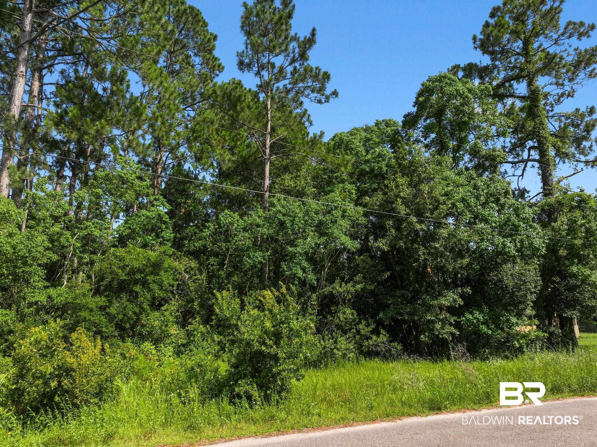 0 Delta Port Boulevard Coden, AL 36523 - Photo 14 of 16