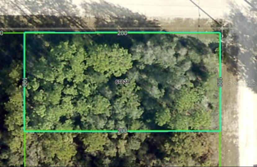 a view of a green and green yard