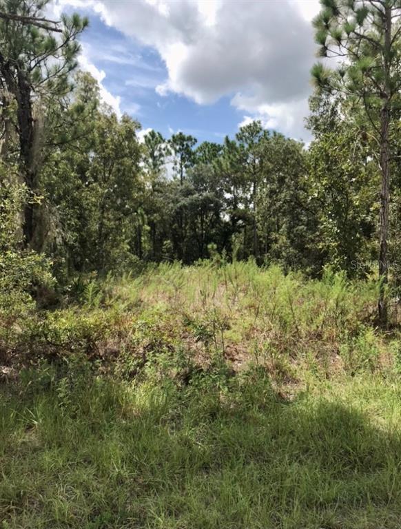 14040 Ruffed Grouse Road Brooksville, FL 34614 - Photo 2 of 2 a view of a bunch of trees