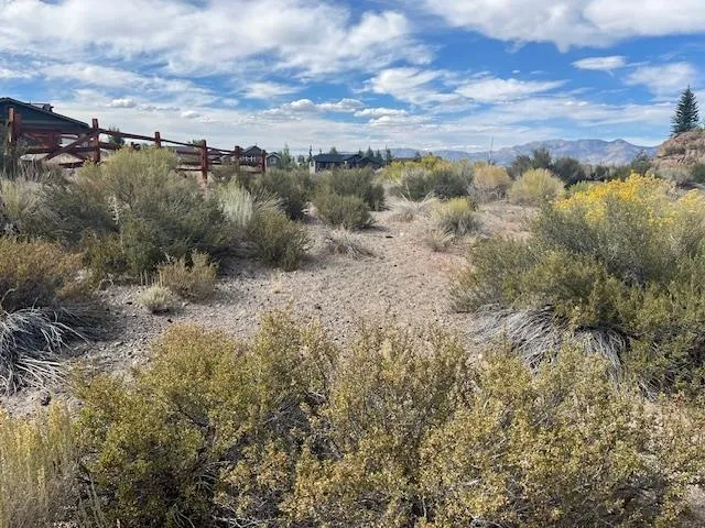 a view of a dry yard with lots of bushes
