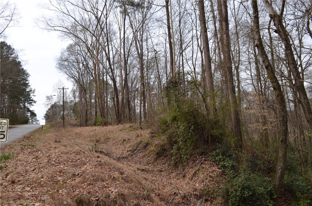 1-4 Canterbury Road Pendleton, SC 29670 - Photo 1 of 6