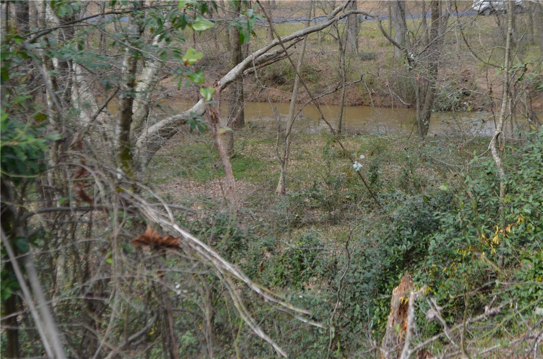 1-4 Canterbury Road Pendleton, SC 29670 - Photo 2 of 6