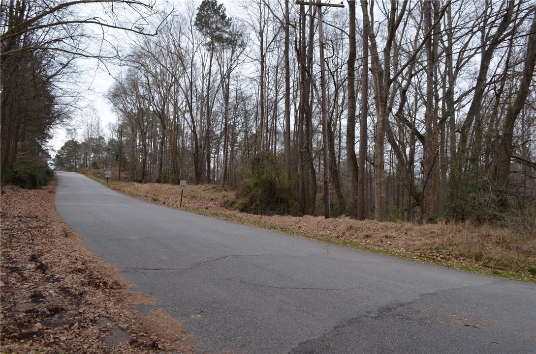 1-4 Canterbury Road Pendleton, SC 29670 - Photo 4 of 6