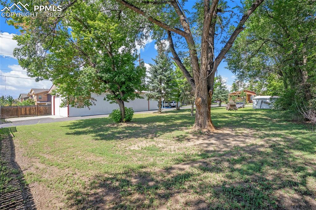 4810 Airport Road Colorado Springs, CO 80916 - Photo 31 of 41 a view of a tree in the middle of a yard