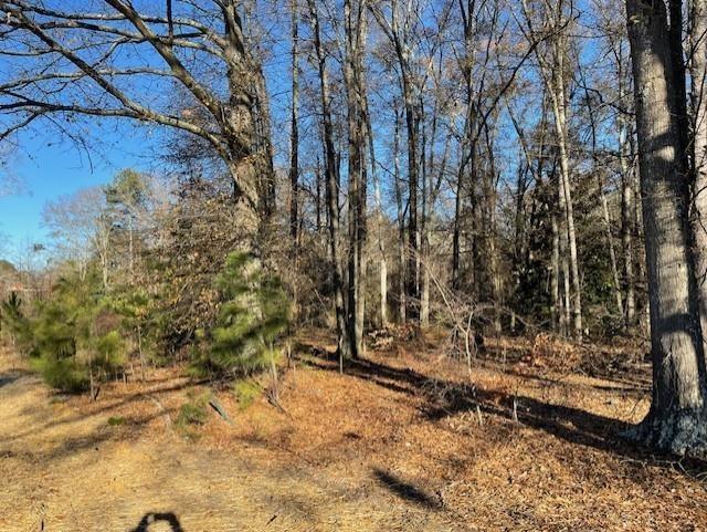 4595 Austell Powder Springs Road Southwest Austell, GA 30106 - Photo 13 of 16 a view of a yard with large trees