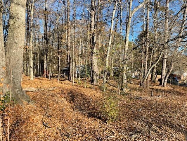 4595 Austell Powder Springs Road Southwest Austell, GA 30106 - Photo 14 of 16