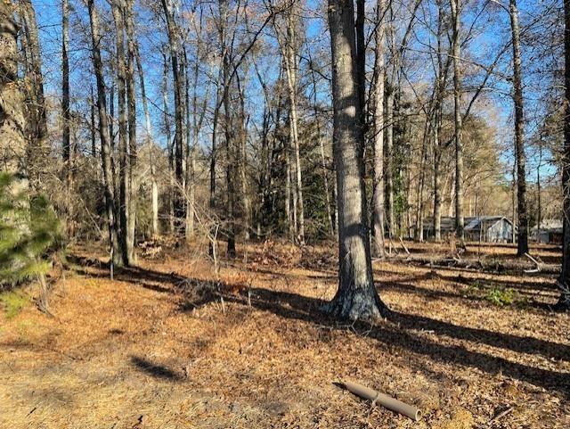 4595 Austell Powder Springs Road Southwest Austell, GA 30106 - Photo 15 of 16 a view of a yard with large trees