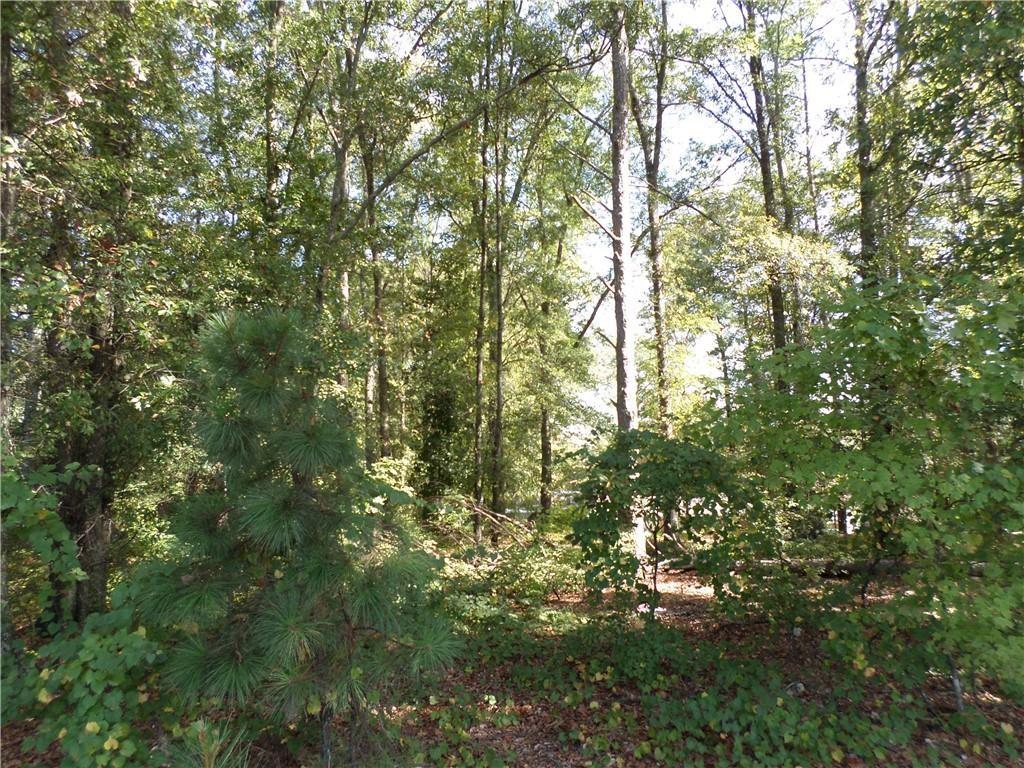 4595 Austell Powder Springs Road Southwest Austell, GA 30106 - Photo 7 of 16 a view of a tree in a yard