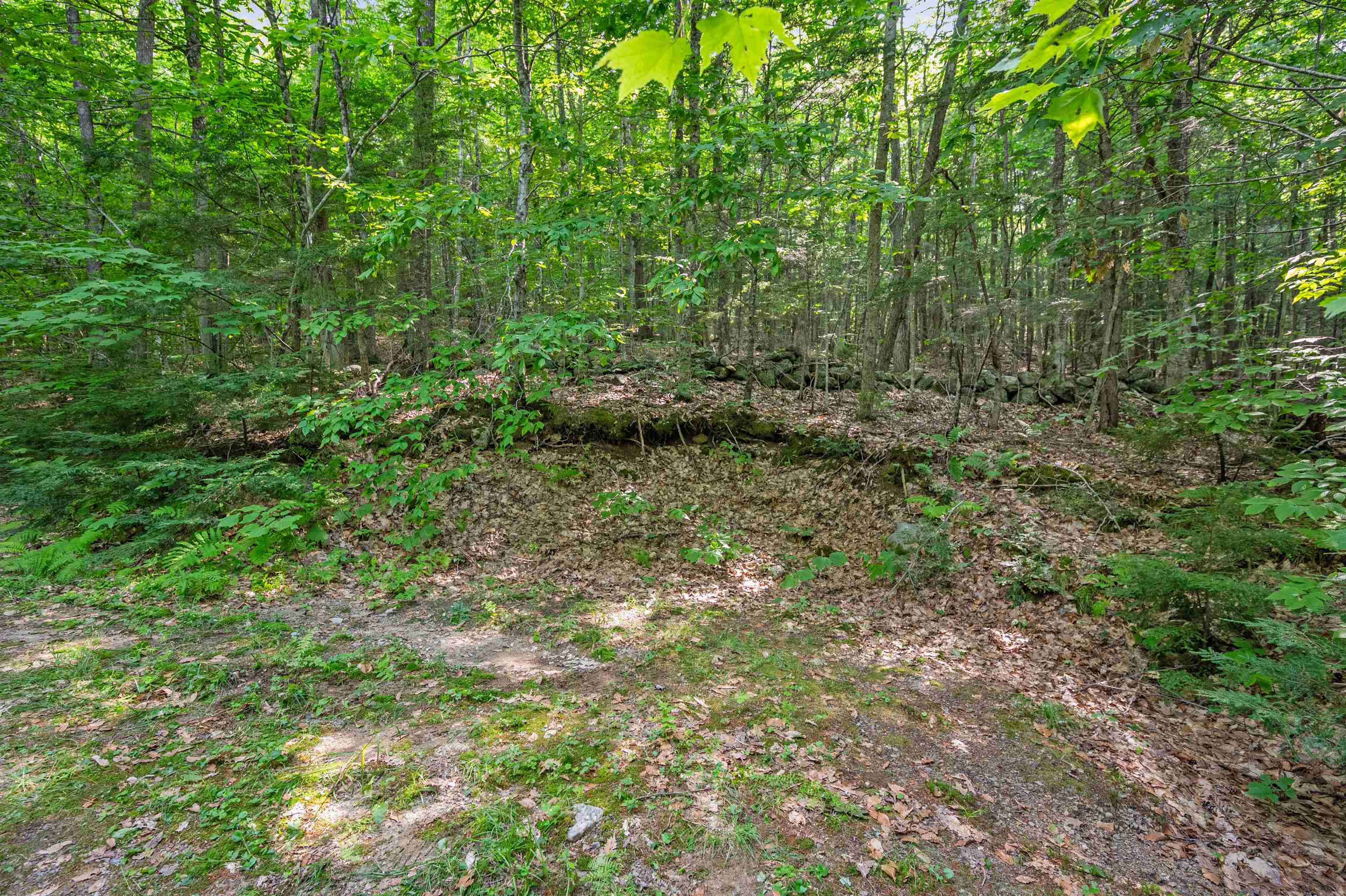 1099 Mt Cardigan Road Alexandria, NH 03222 - Photo 11 of 26 Gallery Image 11