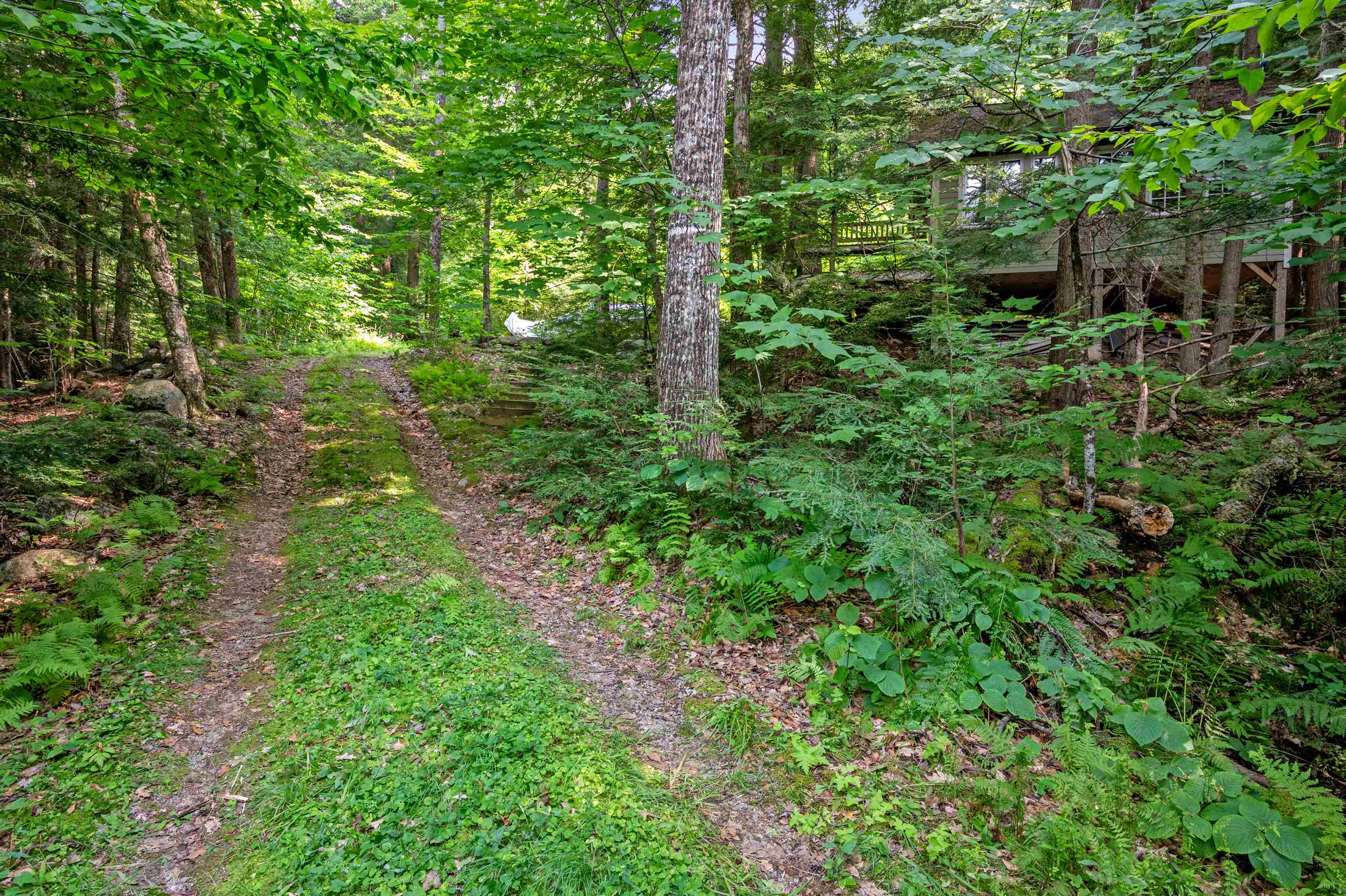 1099 Mt Cardigan Road Alexandria, NH 03222 - Photo 8 of 26 Gallery Image 8