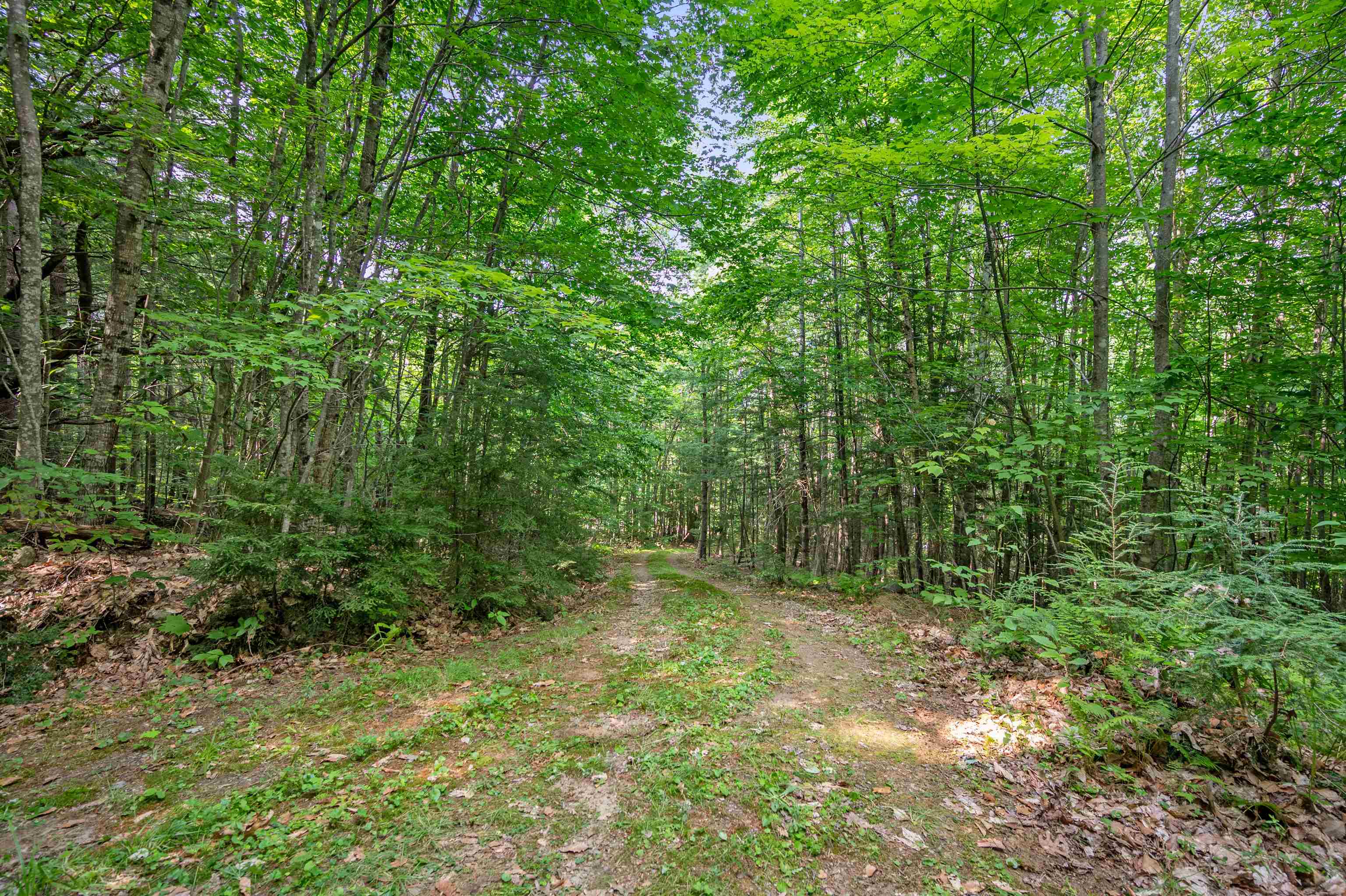1099 Mt Cardigan Road Alexandria, NH 03222 - Photo 9 of 26 Gallery Image 9