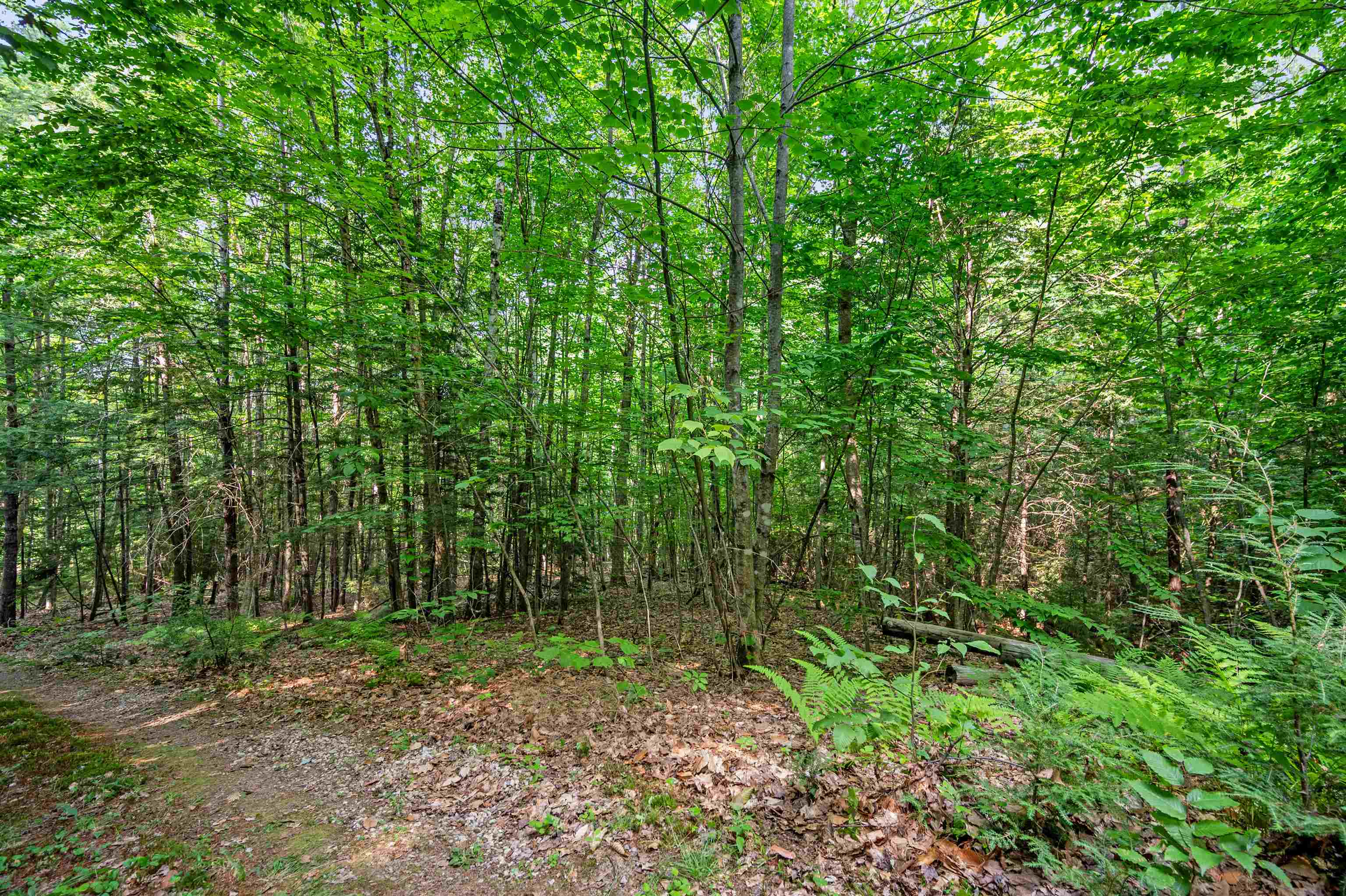 1099 Mt Cardigan Road Alexandria, NH 03222 - Photo 10 of 26 Gallery Image 10