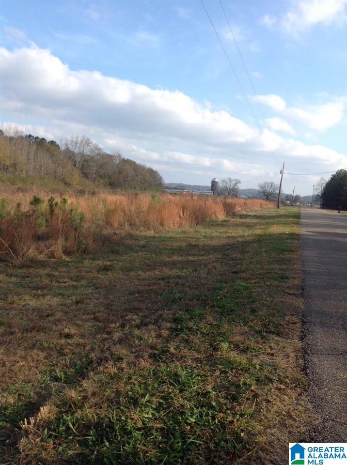 0 Lister Ferry Road, Unit 1 Gadsden, AL 35907 - Photo 7 of 30