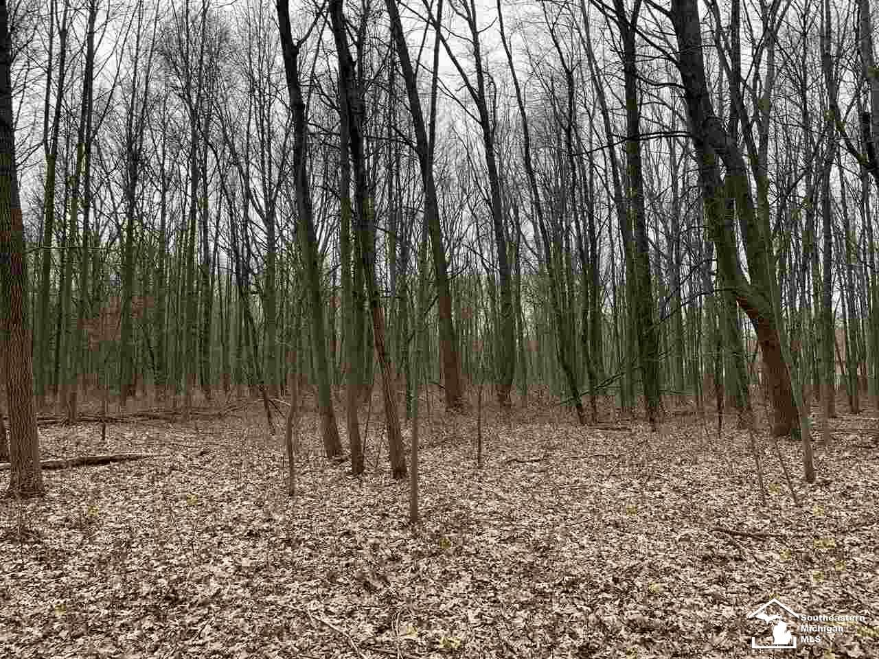 31861 Sibley Road Romulus, MI 48174 - Photo 94 of 94 50010032-93.JPG