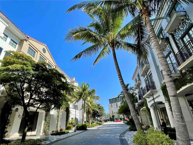 a view of a palm trees in a building