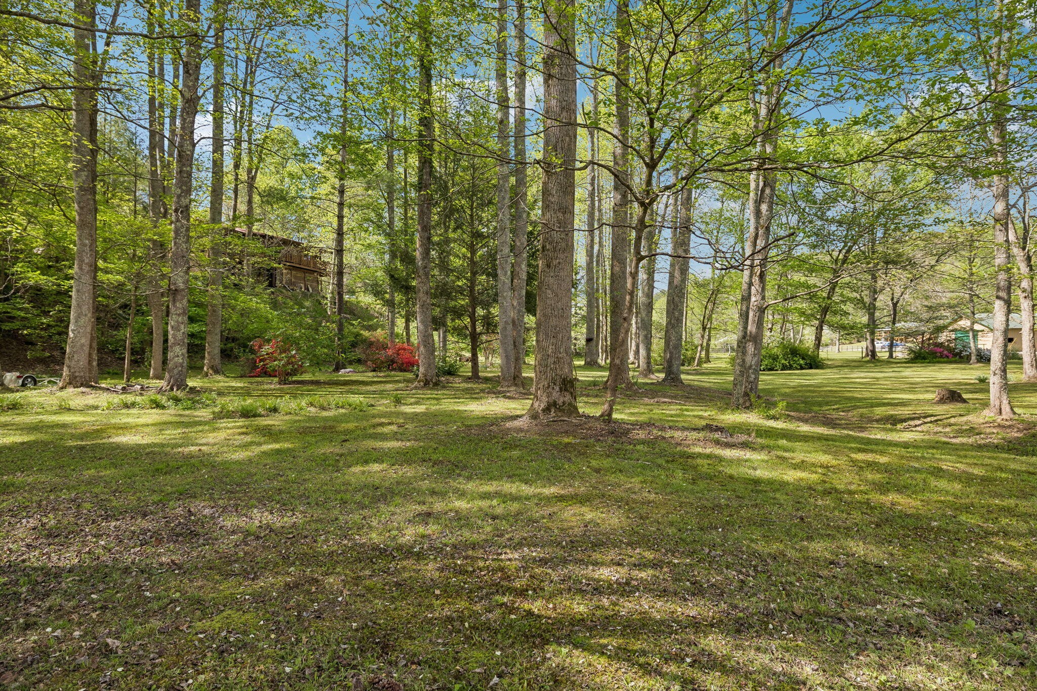 1532 Turkey Creek Road Tellico Plains, TN 37385 - Photo 64 of 65