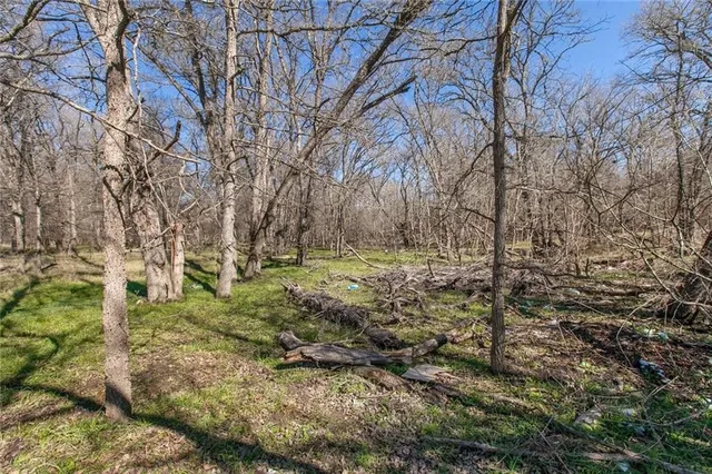 a view of a dry yard with trees