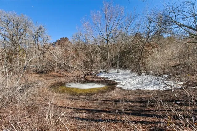 a view of a yard with a tree