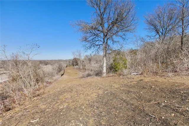a view of a dry yard with trees in the background