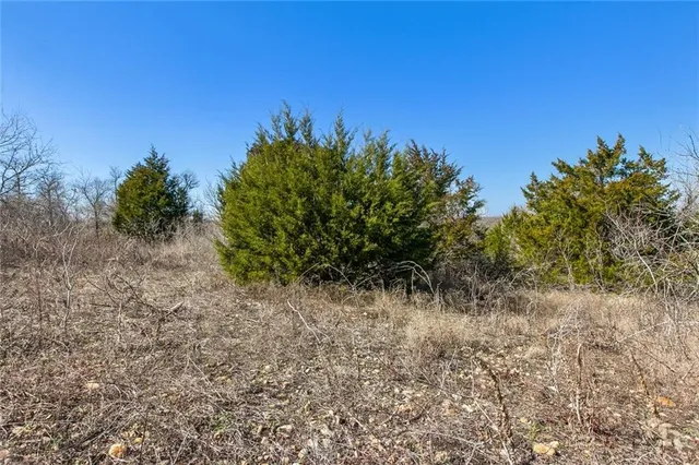 a view of a dry field with trees in the background